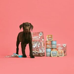 Lily’s Kitchen Made with Natural Ingredients Puppy Dog Treats Packet Chicken Nibbles with Salmon Grain-Free Recipes 8 x 70g