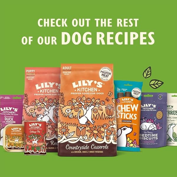 Lily’s Kitchen Made with Natural Ingredients Puppy Dog Treats Packet Chicken Nibbles with Salmon Grain-Free Recipes 8 x 70g - Image 2
