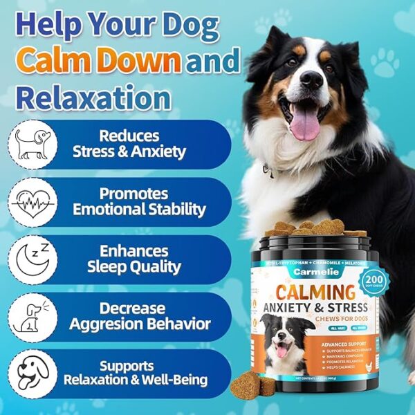 Carmelie Calming Treats for Dogs - 200 Count Calming Dog Treats -Alternative Calming Chews for Dog Reduce Stress, Fear, Separation Anxiety - Natural Valerian Root, L-Tryptophan - Chicken Flavor - Image 2