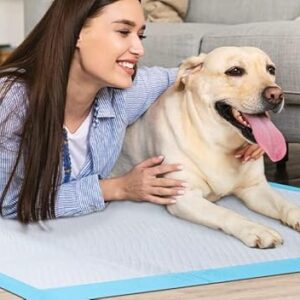 50 x Bazaar Large Puppy Pads 60x60cm Disposable Puppy Training Pads | Highly Absorbent Leak-Proof Dog Training Pads | Premium Quality Quick-Dry Dog Pads (60x60cm - 50 Count).