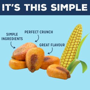 LOVE CORN Variety Pack (6 Sea Salt, 6 BBQ, 6 Salt & Vinegar, 6 Sour Cream & Chive 20g) – Healthy Snacks Ideal for Gluten Free & Vegan Diets – Low Sugar Alternative for Crisps and Mixed Nuts