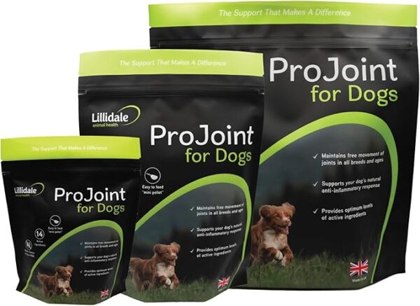 Lillidale ProJoint - Premium Anti-Inflamatory Dog Joint Supplement 500g -14 Active Ingredients include Green-Lipped Mussel, Chondroitin, Glucosamine, Collagen Matrix & Curcumin. Recommended by Vets - Image 2