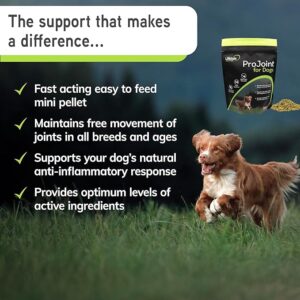 Lillidale ProJoint - Premium Anti-Inflamatory Dog Joint Supplement 500g -14 Active Ingredients include Green-Lipped Mussel, Chondroitin, Glucosamine, Collagen Matrix & Curcumin. Recommended by Vets