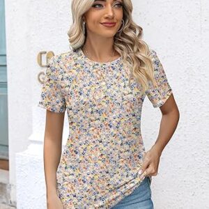 Rapbin Womens Casual Short Sleeve T-Shirts Crew Neck Pleated Tops Fashion Dressy Tunic Blouses