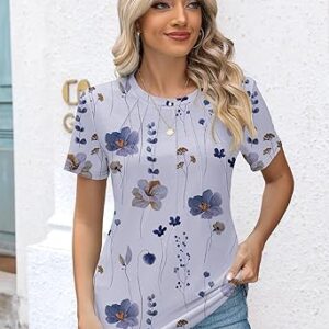 Rapbin Womens Casual Short Sleeve T-Shirts Crew Neck Pleated Tops Fashion Dressy Tunic Blouses