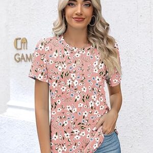 Rapbin Womens Casual Short Sleeve T-Shirts Crew Neck Pleated Tops Fashion Dressy Tunic Blouses