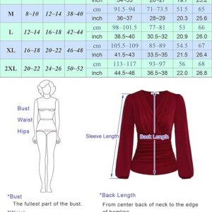 GRACE KARIN Women Tops V-Neck Long Sleeve Ruched Tunic Blouses Casual Top Shirts