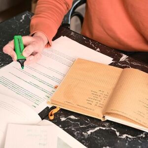 STABILO BOSS ORIGINAL - Highlighter - Deskset of 10 - with 9 Neon Colours